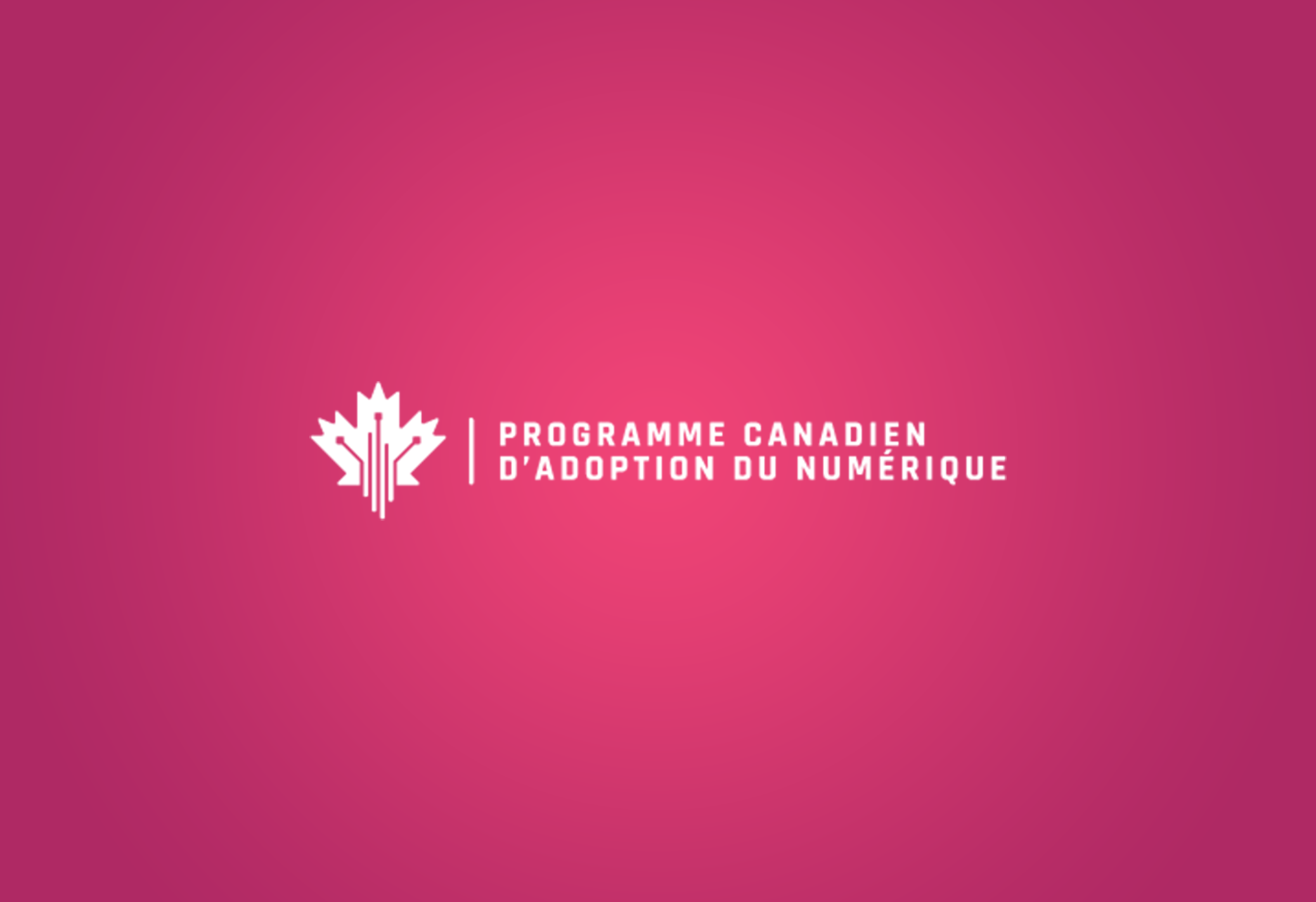 Subvention Programme Canadien d’Adoption du Numérique (PCAN)